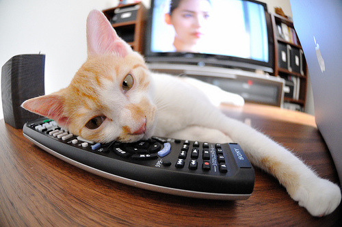 萨拉赫生涯之夜，米兰铁蹄下，尼日利亚足球的强行终结