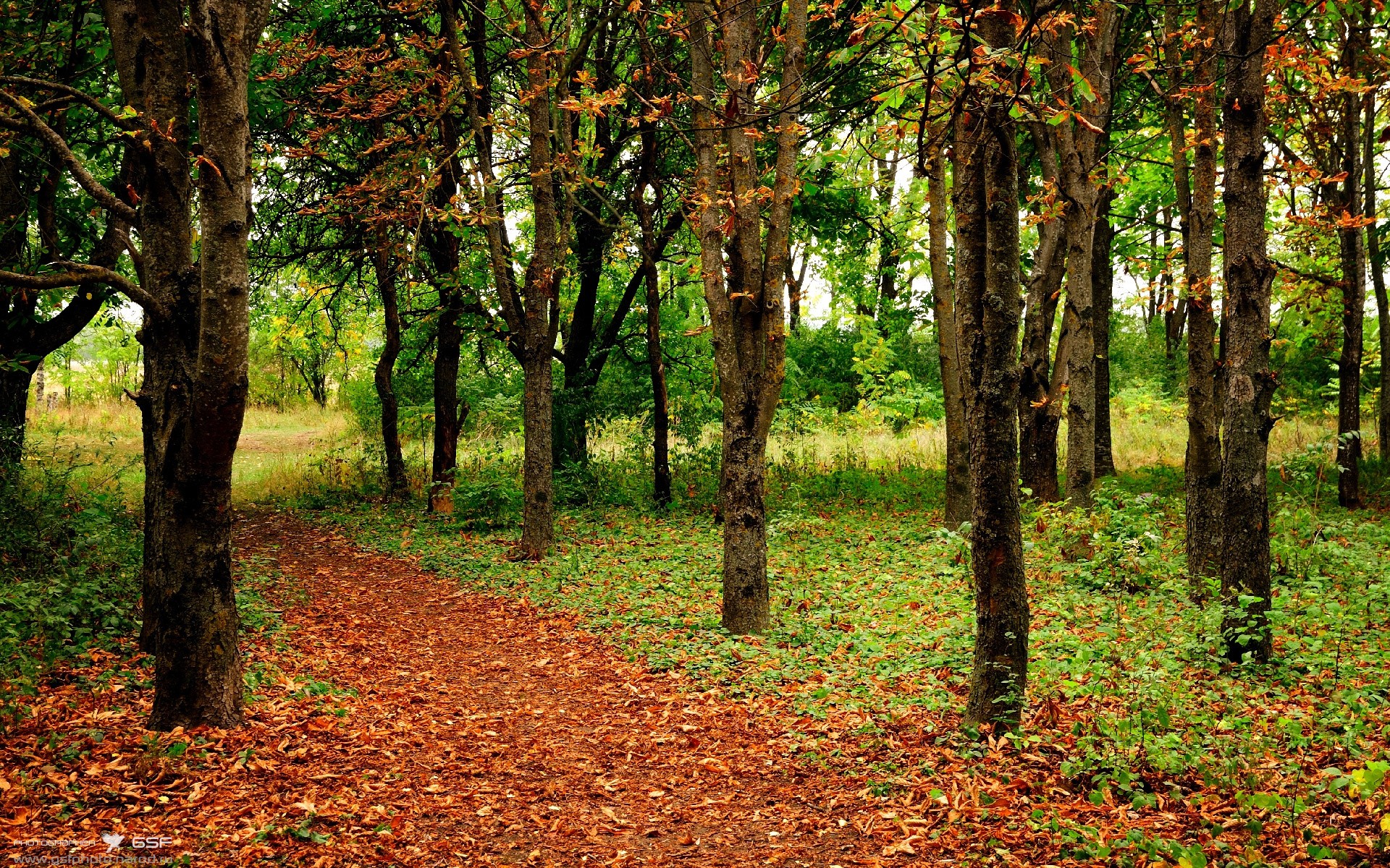 当沙漠雄鹰遇上潘帕斯雄鹰，C罗的无解对手与绿茵哲学