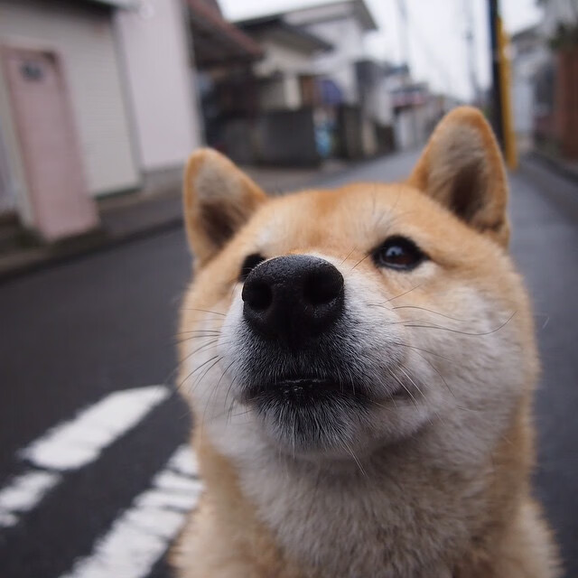 拉文全程高能输出，凯尔特人绝杀掘金，一场定义赛季的经典对决
