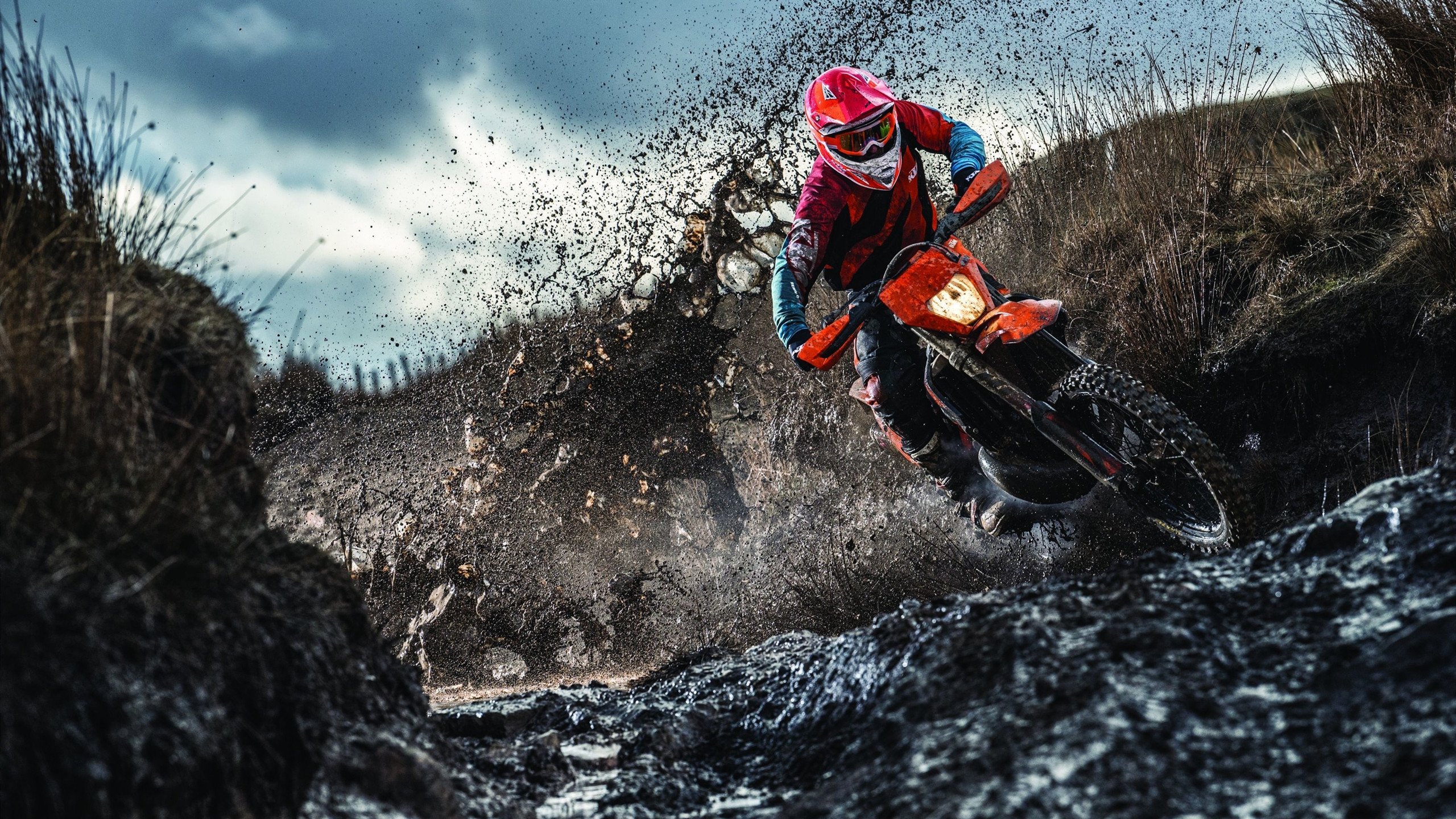 拉塞尔关键制胜，雷诺车队横扫威廉姆斯，一场技术与意志的完美风暴